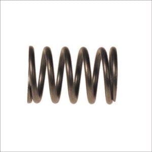 EZGO RXV Valve Spring (Years 2008-Up) - Image 1
