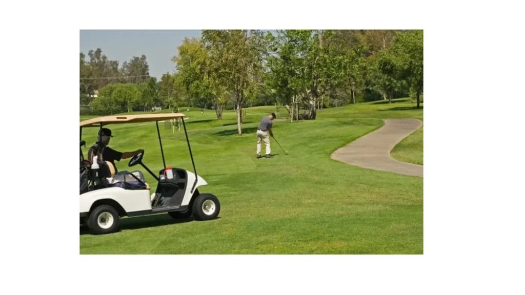 Overloading Your Golf Cart Beyond Capacity Limits